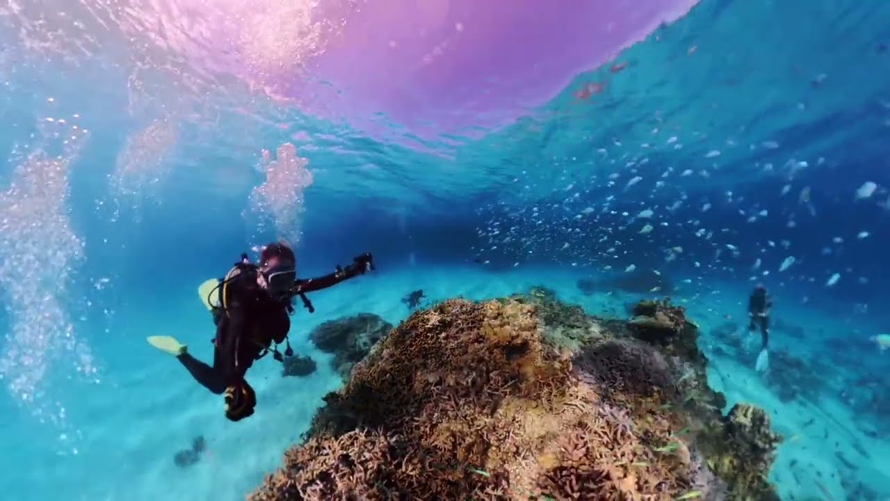 北浜 光の中をいろんな魚がいます。 座間味ダイビング Insta360X5