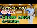 パンチに威力を出すための秘密とは！1.重心移動 2.遠心力 3.テコの原理  パンチで倒す 破壊力 スピード