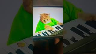 RIP Keyboard Cat 19781987