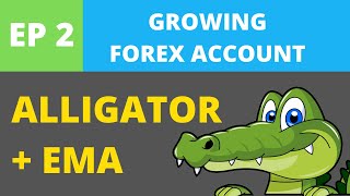 Alligator Indicator Strategy + Moving Average - Forex Scalping Strategy - Forex Challenge 2 #Shorts