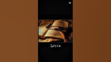 تلاوة قرآن 😴💜 - سورة البقرة - الاية (260)