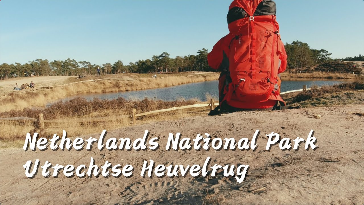 Hiking in Netherlands National Park Utrechtse Heuvelrug YouTube