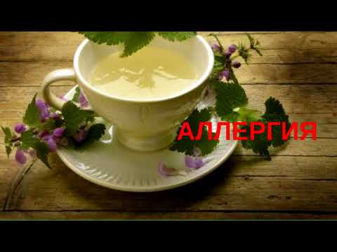 Чай из крапивы. 12 лечебных свойств - Домашний лекарь - выпуск №31
