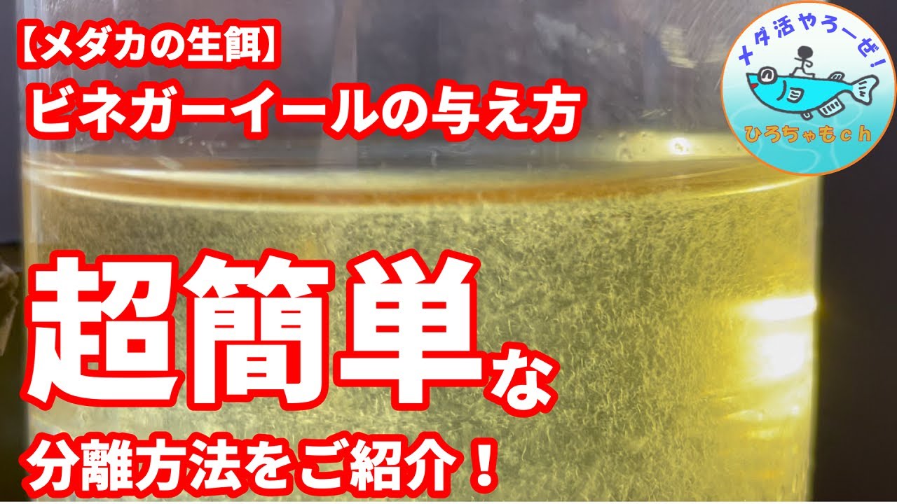 ピクタ ビネガーイール分離装置