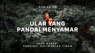 GUNUNG BERIUN - Atap Negeri Kalimantan Timur #2