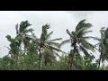 Cyclone Amphan arrives in eastern India5