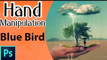 Create a Nature Inspired Photo Manipulation in Photoshop cs6 || Blue Bird