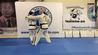 2 Step Sparring Sequence #9