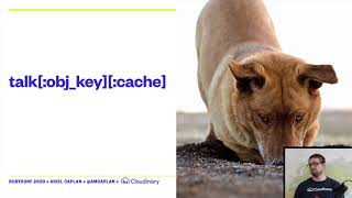 The Humble Hash - Ariel Caplan