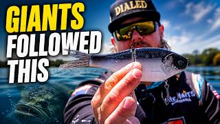 How We Fish Glide Baits for GIANT Bass