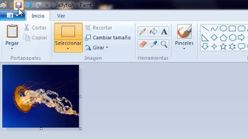 Convercion de imagen .jpg a .bmp
