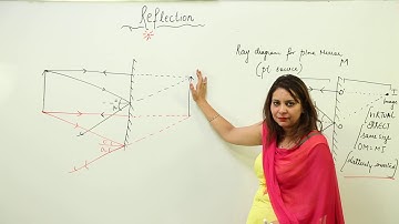 Free Topic l ICSE | CLASS 7 | PHY | Reflection By Plane Mirrors | ray diagram of plane mirror l L29