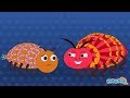 The Louse and the Bedbug Quiz