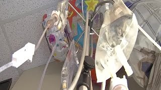 Machete stabbing victims speak
