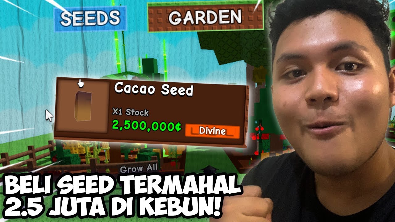 BELI SEED TERMAHAL DEVIN CACAO SEED DI GROW A GARDEN ROBLOX YouTube 