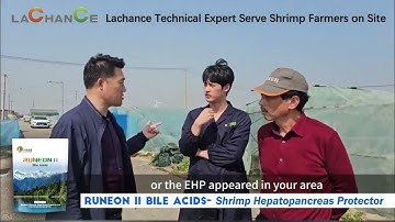 Technical expert advices on how to prevent shrimp EHP