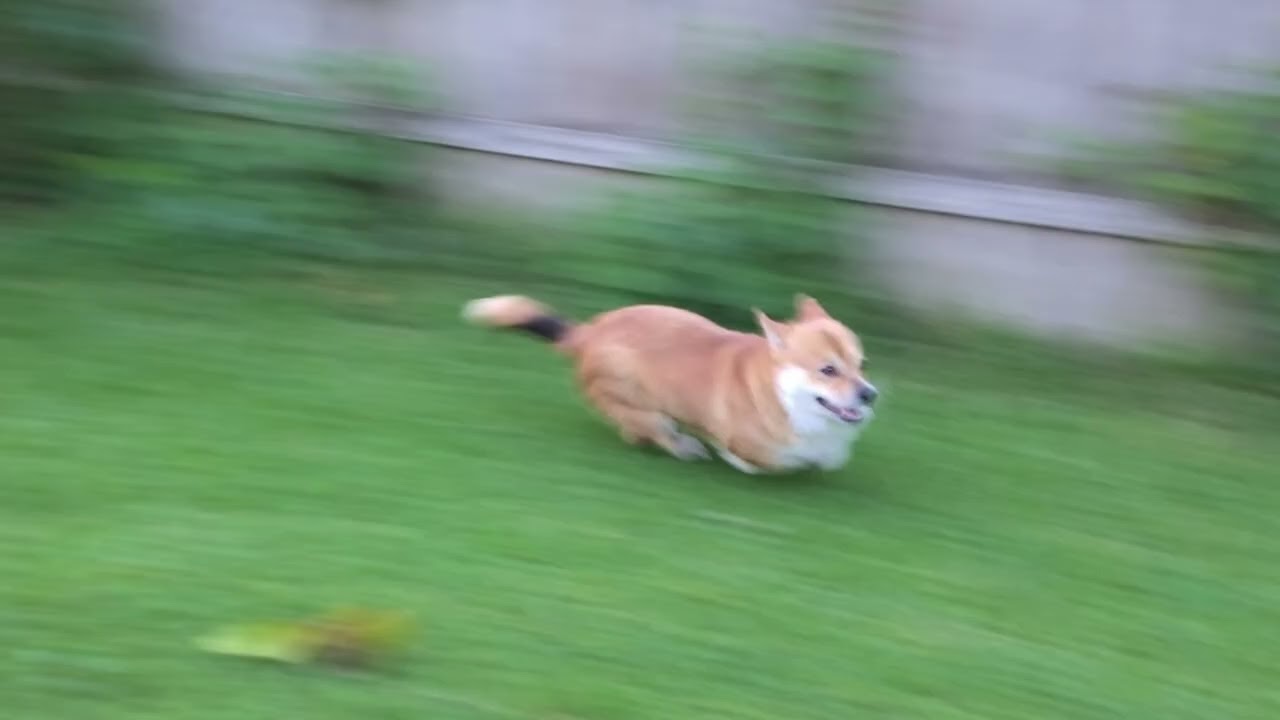 ||𝐉-𝐏𝐎𝐏 𝐏𝐋𝐀𝐘𝐋𝐈𝐒𝐓|| 아 신나서 뛰어버렸다. J-POP ||둠칫둠칫||っᵔᴥᵔ)っ