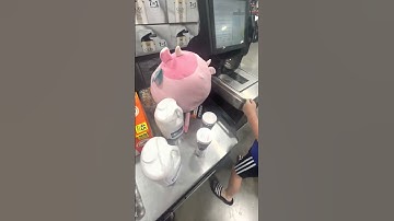 Costco self checkout total