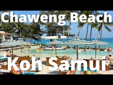 Chaweng Beach Club +Hotels + Samui House Rentals + More!