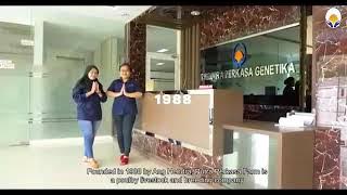 PUTRA PERKASA FARM🐤