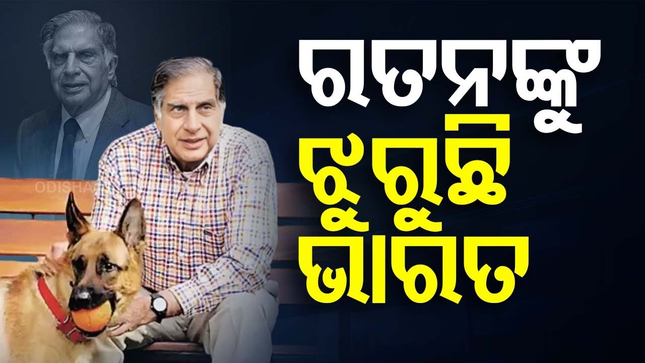 LIVE | ଏଇ ଘଣ୍ଟାର ଖବର | 4PM Bulletin | 10th October 2024 | OdishaTV