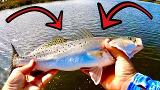 how to catch fish POST COLD FRONT... by LowCountryFishing 4,150 views 1 year ago 13 minutes, 8 seconds