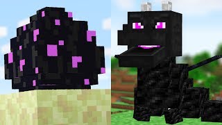 4 BEST Ways To DISPLAY Your Enderdragon egg in Minecraft (Easy)(tutorial)