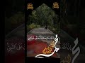 ইসলামিক ভিডিও