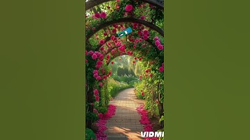 قران كريم #اكسبلور #غزة #فلسطين #قران_كريم #لايك #live #متابعه #ترند