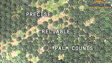 Oil Palm Census Mapping from UAV & GIS Integration