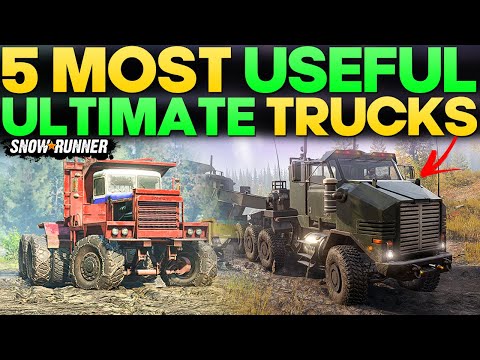 5 Most Useful