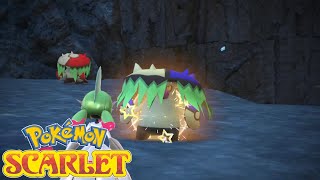 Pokémon Scarlet & Violet - Shiny Brute Bonnet