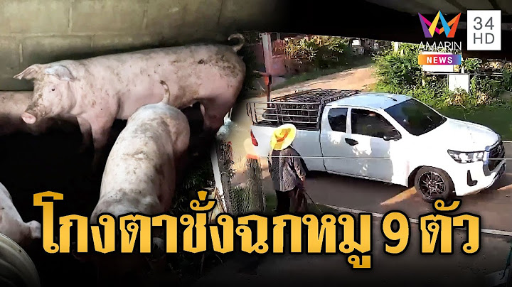 คนมาซื้อหมู 9 ตัวไม่จ่ายเงิน วิ่งตามระทึก | ข่าวอรุณอมรินทร์ | 9/7/68