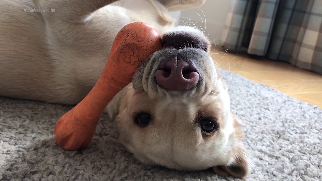 Olive and Mabel behind the scenes. YouTube