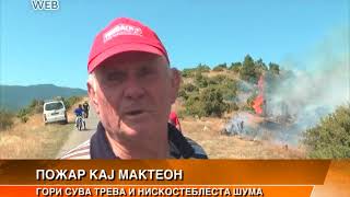 Пожар кај Припор
