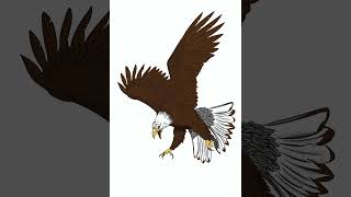 Player Profile Blue Eagle Timelapse🦅 #beamzng🐆