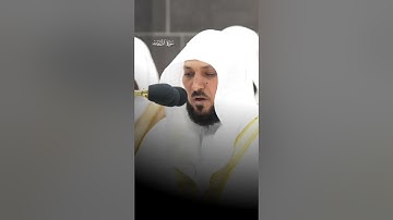 كَذَ ٰ⁠لِكَ مَاۤ أَتَى ٱلَّذِینَ مِن قَبۡلِهِم مِّن رَّسُولٍ |سورة الذاريات | الشيخ ماهر المعيقلي
