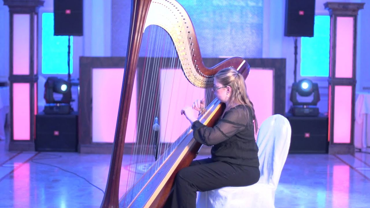 LI Sound DJ Entertainment Live Music Harp YouTube