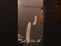 لفلك حشيش روعه 