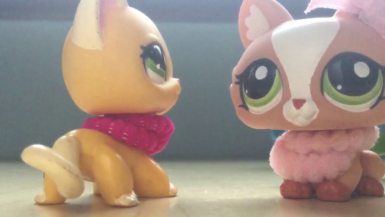 LPS Rules Are Rules Folge 7 LPS Crazy Girl TV YouTube lps-rules-are-rules-folge-7-lps-crazy-girl-tv-youtube