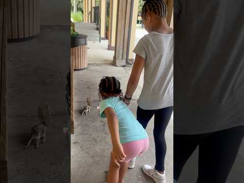 Dad catches daughters trying to feed a squirrel and this happens #shorts