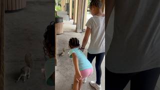 Dad Catches Daughters Trying To Feed A Squirrel And This Happens