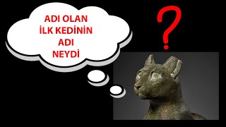 Tarihte Adı Olan İlk Kedinin Adı Neydi by Alican Akhan 275 views 2 months ago 3 minutes, 25 seconds
