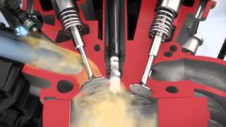 EN | Bosch Portfuel Injection