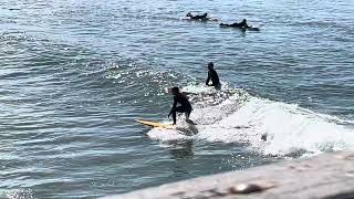 Good Waves! Surfers Surfing Capitola, Santa Cruz, CA