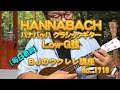 【Low-G弦】HANNABACH ハナバッハ「シルバースペシャル E8154SLT Yellow D 4弦」レビュー（クラシックギター用弦） ／【毎日更新】 BJのウクレレ講座 No.1719