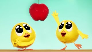 Wheres Chicky ? The Apple - New Episodes In Hd