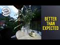 San Giorgio Villa - Better Than Expected | Kalampaka, Greece🏨