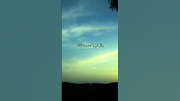 سورة النبأ بصوت طارق محمد ♥️#القرآن الكريم #سورة النبأ.