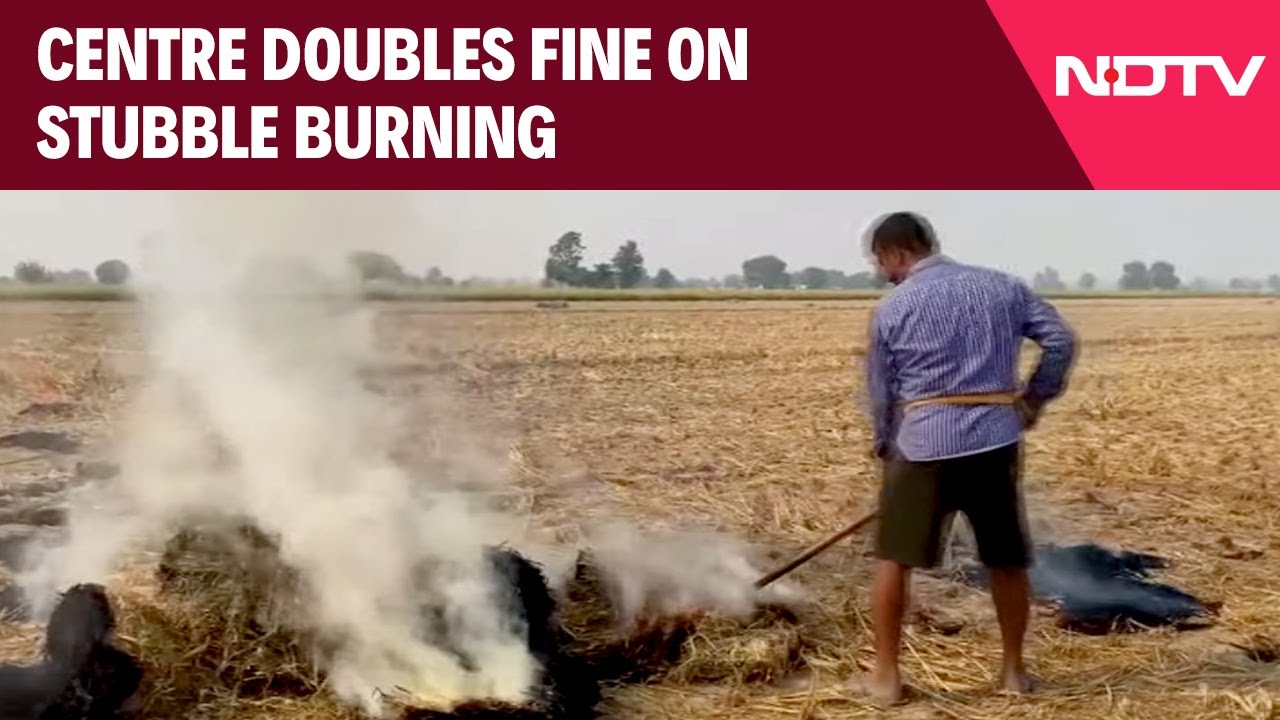 Stubble Burning News | Central Government Doubles Fine On Stubble Burning After SC Rap & Other News